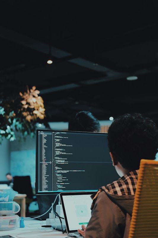 Software Customization